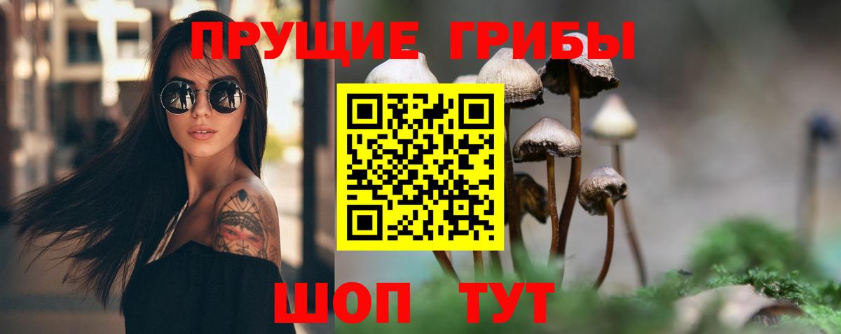 Псилоцибиновые грибы Cubensis Кировск
